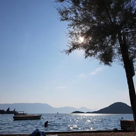 Διαμέρισμα Ozana Blace