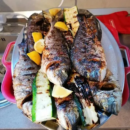 Ozana בלאצ'ה